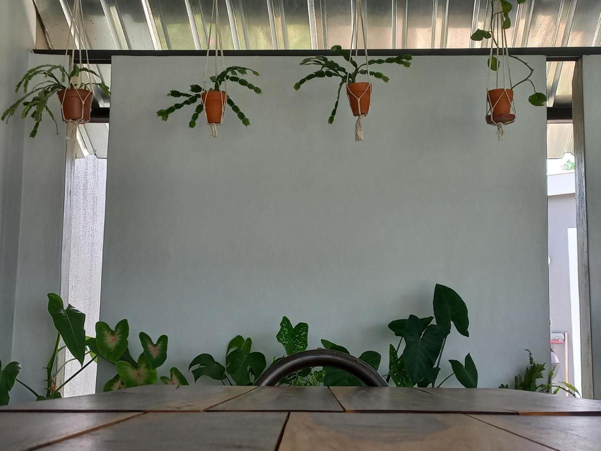 Urban Farm Haus Guesthouse Rundu Kültér fotó