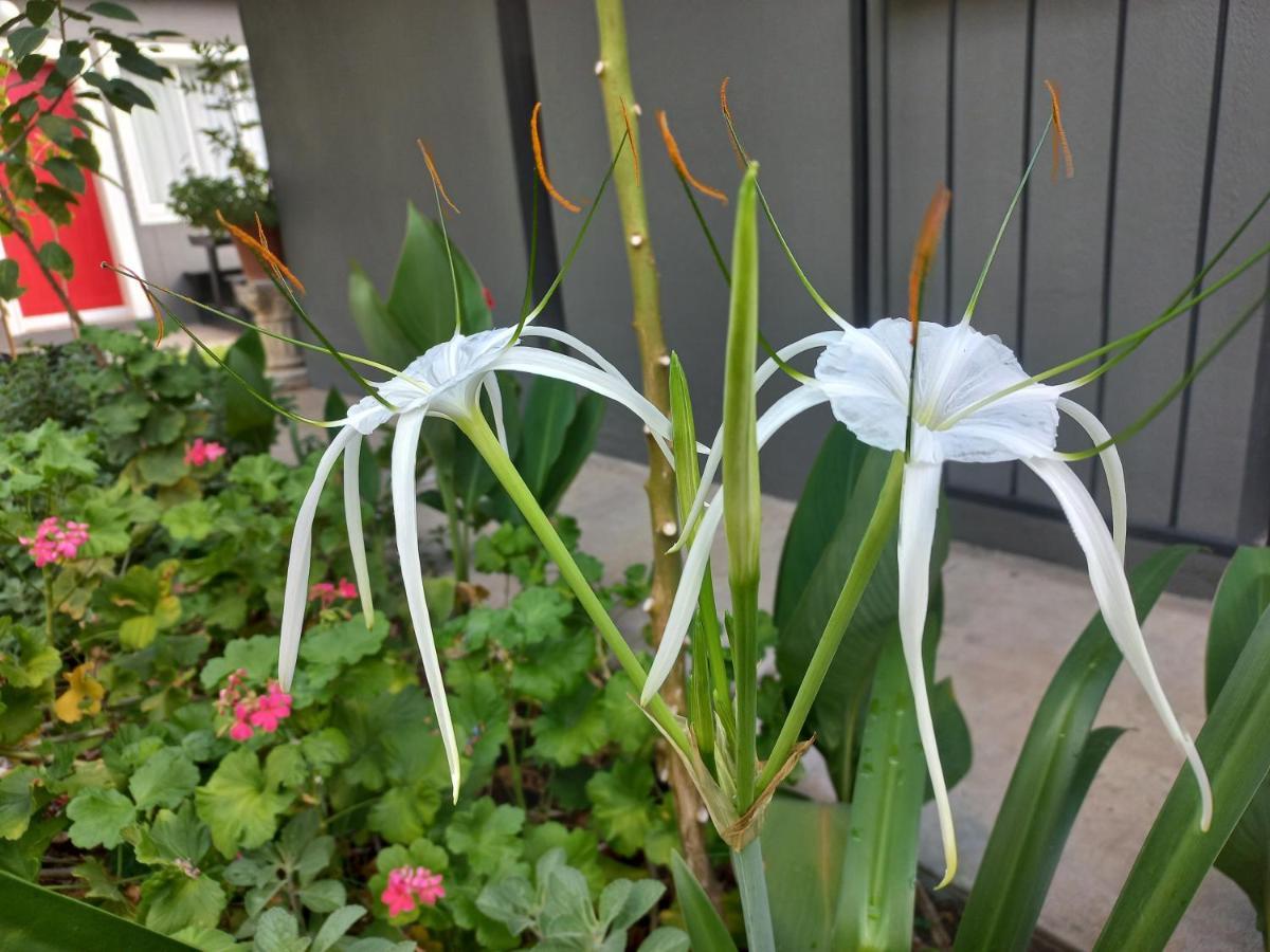 Urban Farm Haus Guesthouse Rundu Kültér fotó